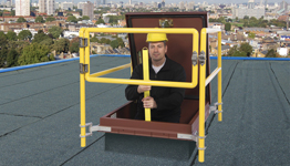Ladder Access 1305