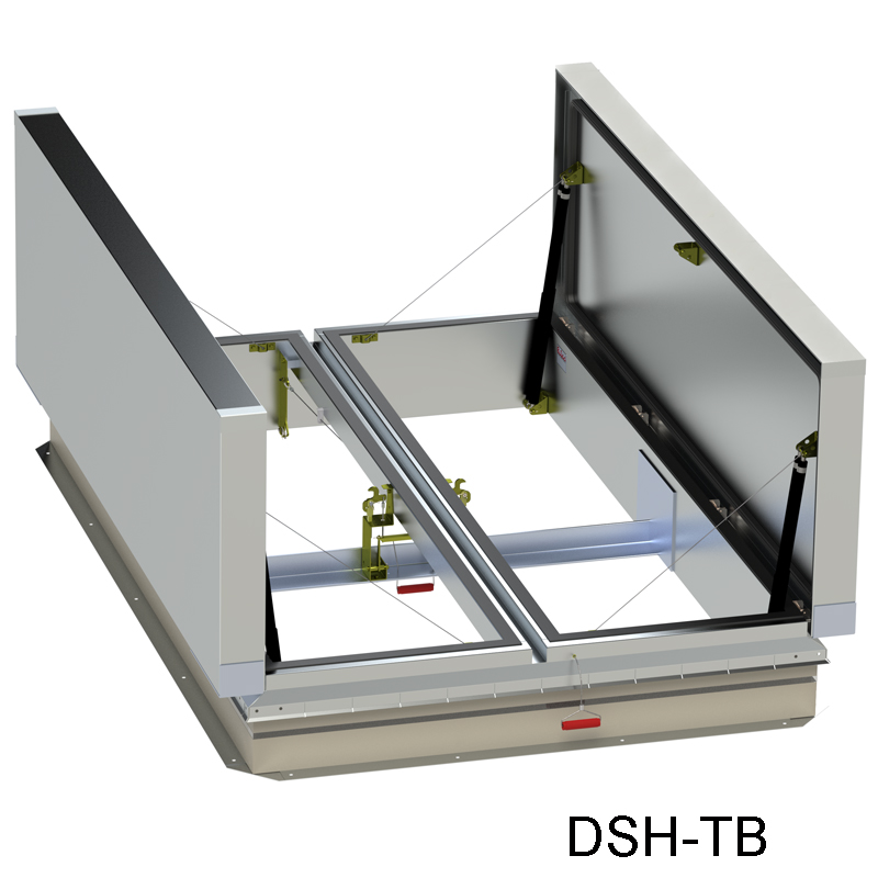 1TBSV-1