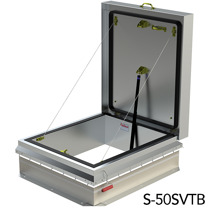 1TBSV-1