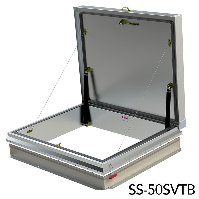1TBSV-1